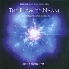 The Flow of Naam by Joseph Michael Levry - Gurunam