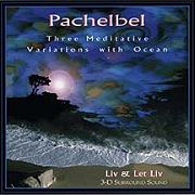 Meditative Pachelbel - Canon in D by Johann Pachelbel | Liv Singh