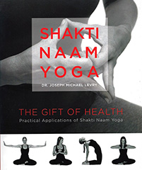 Shakti Naam Yoga by Dr_Joseph_Michael_Levry