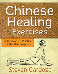 Chinese Healing Exercises by Steven Cardoza