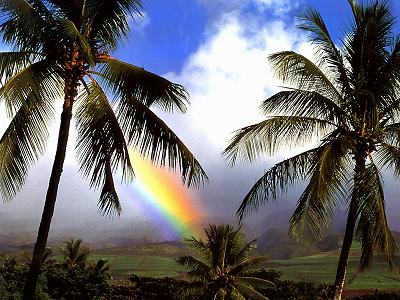 Hawaii - Tropical Paradise