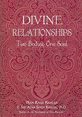 Divine Relationships ebook by Nam_Kaur
