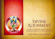 Divine Alignment by Guru Prem Singh